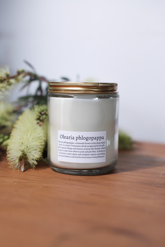 Alpine Daisy (Limited edition) soy candle