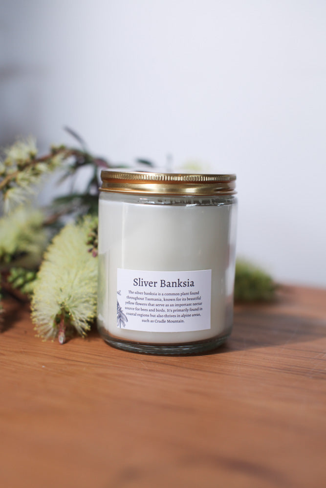 Silver Banksia- soy candle (Limited edition)