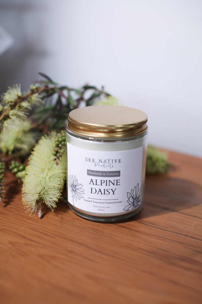 Alpine Daisy (Limited edition) soy candle