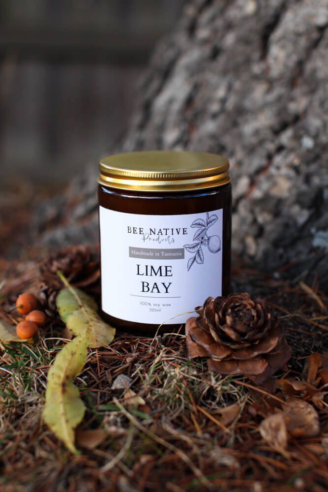 Lime bay soy candle - Bee Native