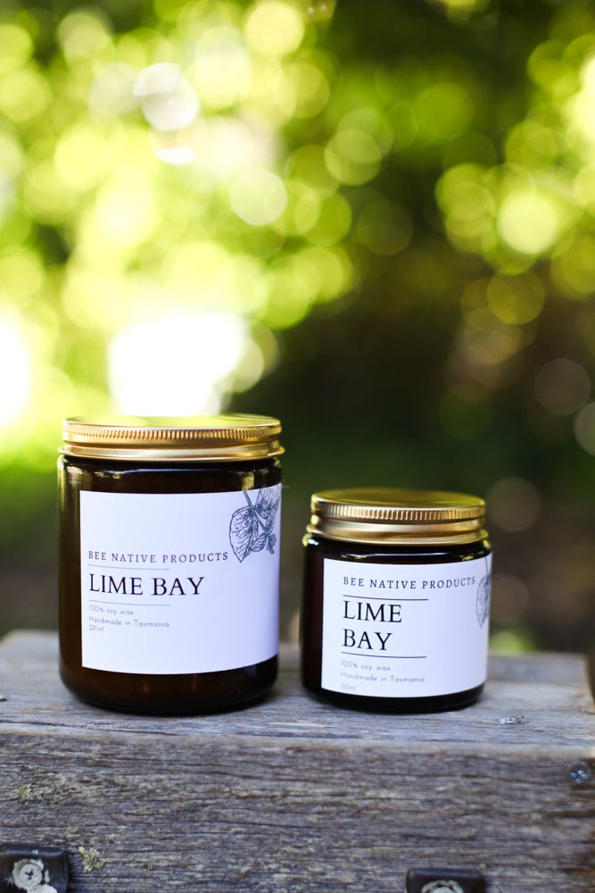 Lime bay soy candle - Bee Native